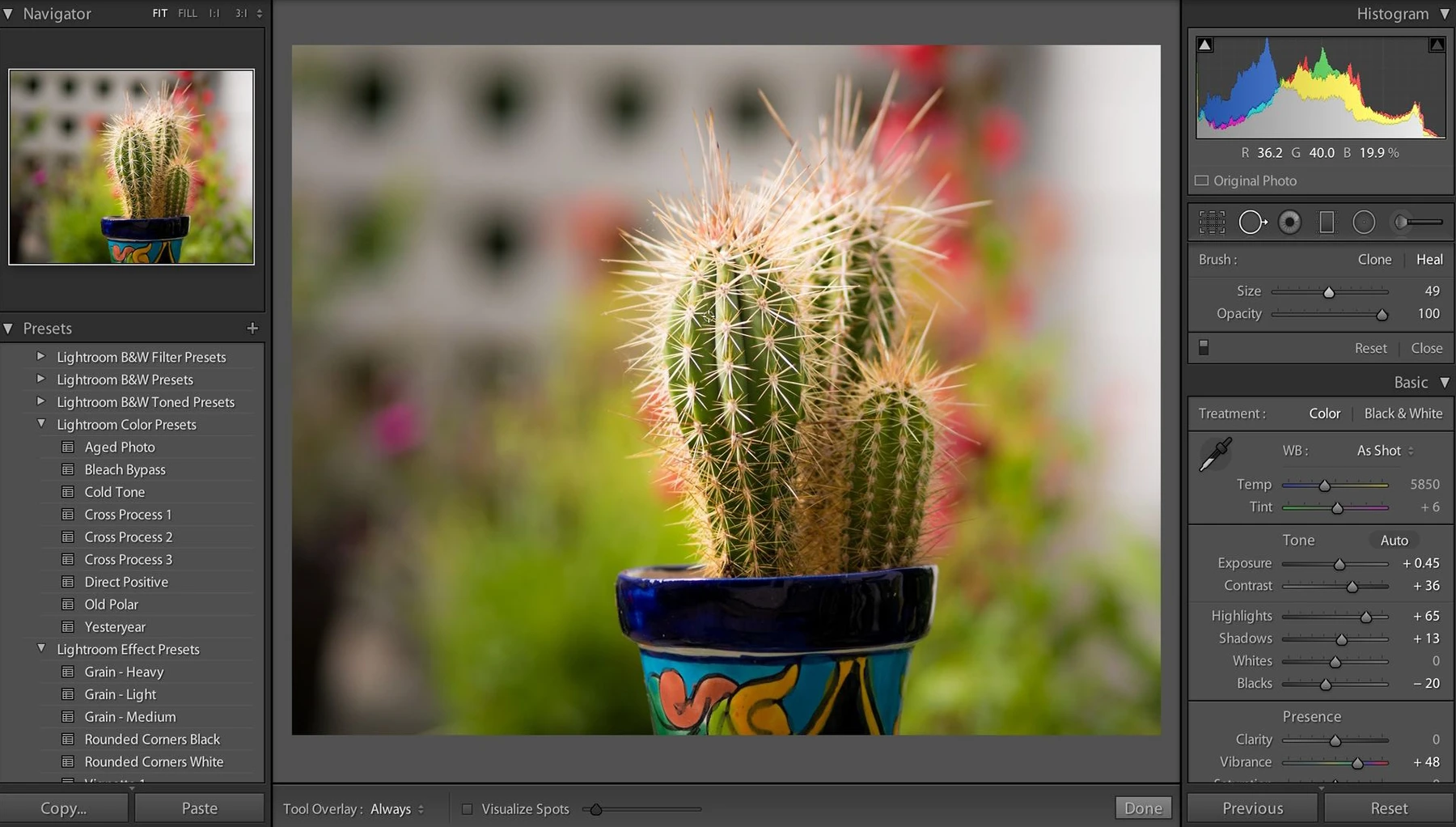 corso Fotografia Raw con Adobe Lightroom Classic CC e Photoshop CC Camera Raw