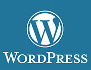 Corso aziendale su misura di WordPress progettazione strategie marketing